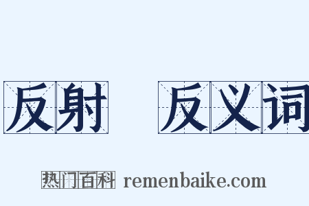 反射鏡反义词是什么意思的图片